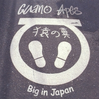     Guano Apes - Big in Japan