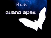     Guano Apes - High