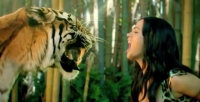 ����� � ������� ����� Katy Perry - Roar