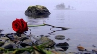 ����� � ������� ����� Chris De Burgh - Rose Of England