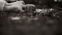 ����� � ������� ����� Tom Waits - Green Grass
