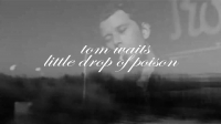 Текст и перевод песни Tom Waits - Little Drop Of Poison