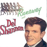 Текст и перевод песни Del Shannon - Runaway