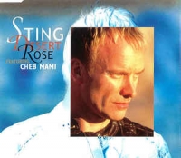 Текст и перевод песни Sting ft. Cheb Mami - Desert Rose