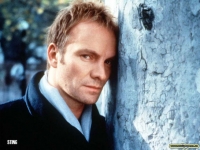 Текст и перевод песни Sting - Shape of my heart