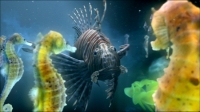 ����� � ������� ����� Chemical Brothers ft. Fatlip - The Salmon Dance