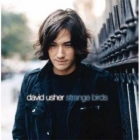 ����� � ������� ����� David Usher - Black Black Heart