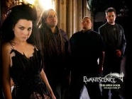 Текст и перевод песни Evanescence - Bring me to life