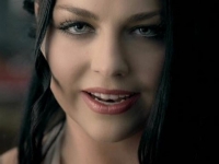 Текст и перевод песни Evanescence - Everybody's fool