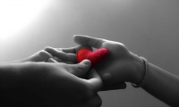 ����� � ������� ����� The Cardigans - Holy love