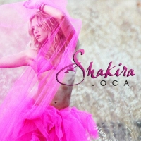 Текст и перевод песни Shakira ft. Dizzee Rascal - Loca