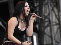 Текст и перевод песни Evanescence - Made Of Stone