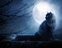����� � ������� ����� Unheilig - Der Mann im Mond