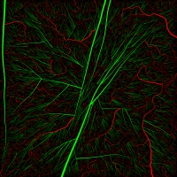 ����� � ������� ����� Lacrimas Profundere - Veins