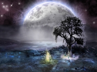 ����� � ������� ����� The 69 Eyes - Star of fate
