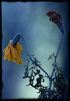 ����� � ������� ����� H.I.M. - In joy and sorrow